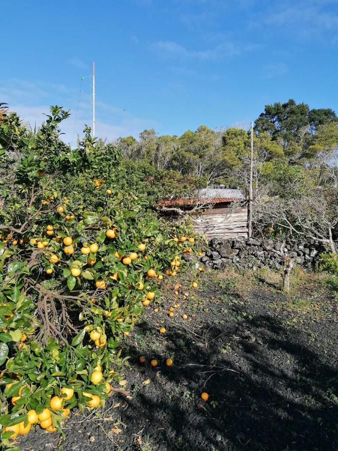 Rosa Do Canto Monte  Ngoại thất bức ảnh