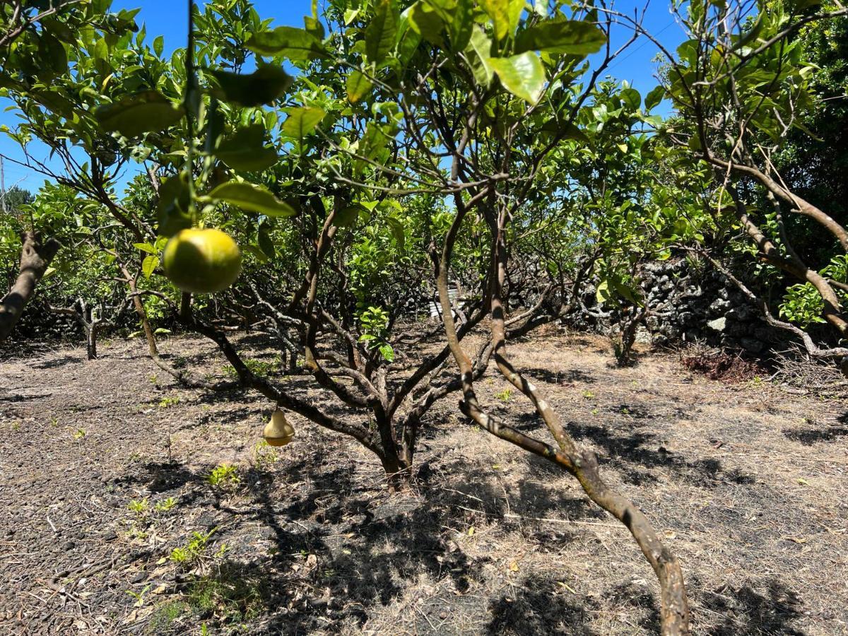 Rosa Do Canto Monte  Ngoại thất bức ảnh